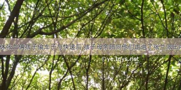 介休张兰俩孩子偷车子与快递后 孩子母亲陪同他们走进了张兰派出所...