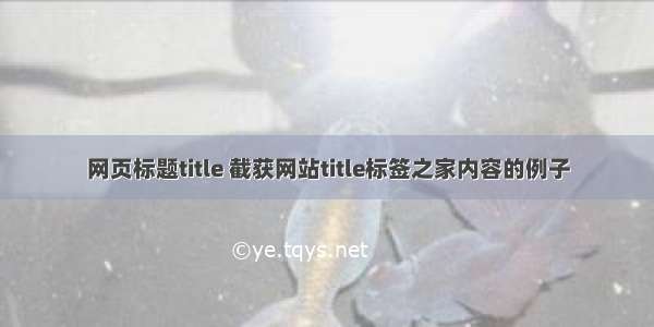 网页标题title 截获网站title标签之家内容的例子