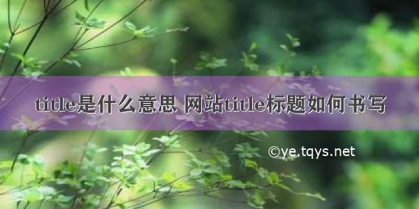 title是什么意思 网站title标题如何书写