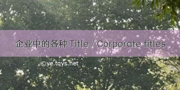 企业中的各种 Title / Corporate titles