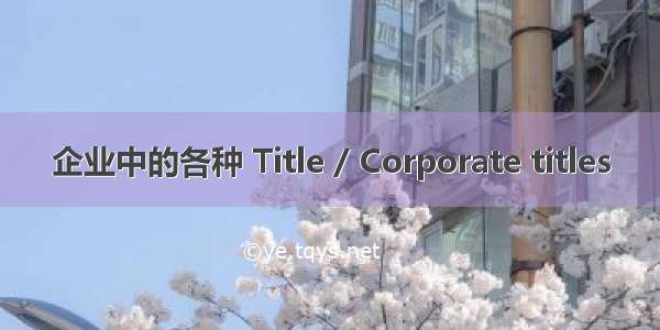 企业中的各种 Title / Corporate titles