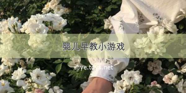 婴儿早教小游戏