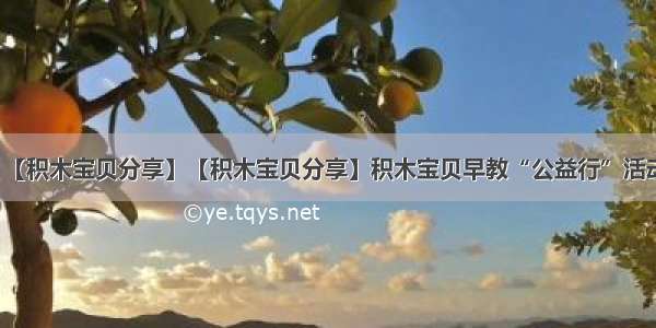 【积木宝贝分享】【积木宝贝分享】积木宝贝早教“公益行”活动