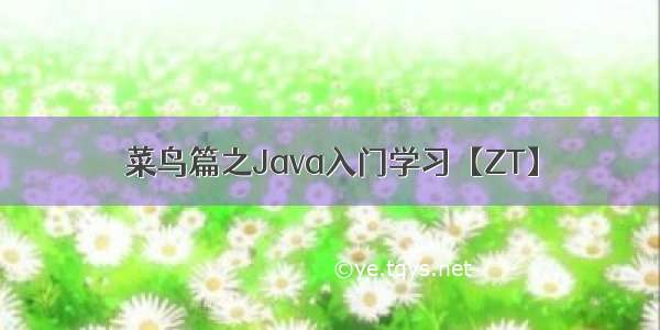 菜鸟篇之Java入门学习【ZT】