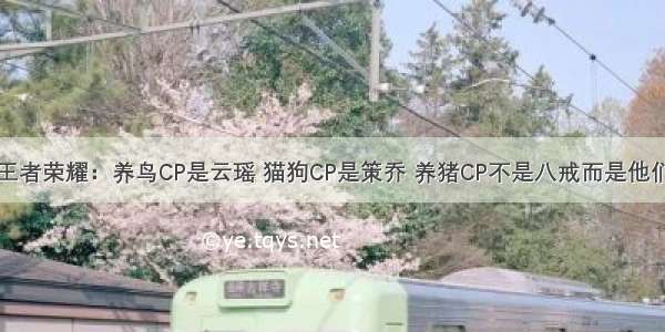 王者荣耀：养鸟CP是云瑶 猫狗CP是策乔 养猪CP不是八戒而是他们