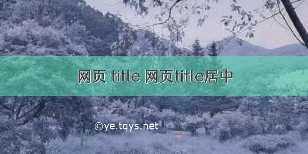 网页 title 网页title居中