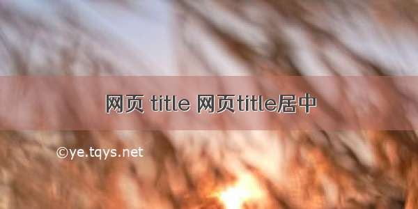 网页 title 网页title居中