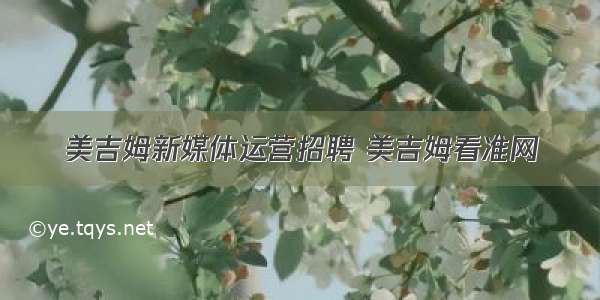 美吉姆新媒体运营招聘 美吉姆看准网