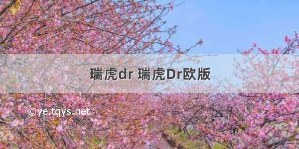 瑞虎dr 瑞虎Dr欧版