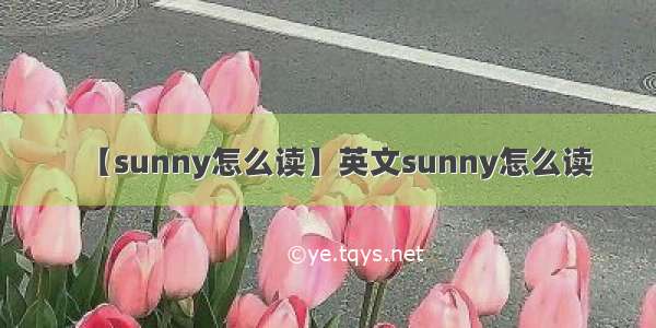 【sunny怎么读】英文sunny怎么读