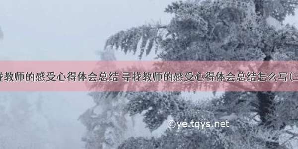 寻找教师的感受心得体会总结 寻找教师的感受心得体会总结怎么写(三篇)