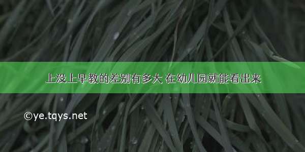 上没上早教的差别有多大 在幼儿园就能看出来