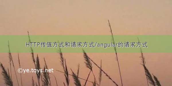 HTTP传值方式和请求方式/angular的请求方式