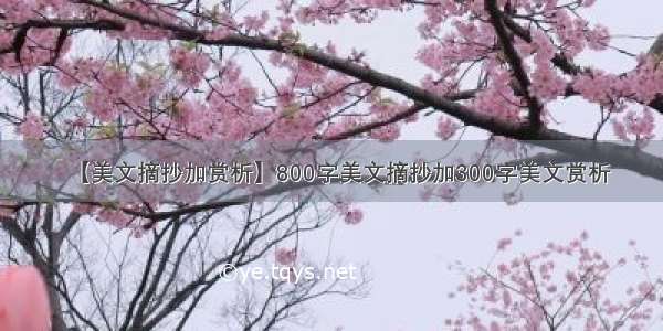 【美文摘抄加赏析】800字美文摘抄加300字美文赏析