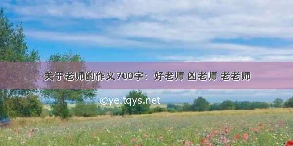 关于老师的作文700字：好老师 凶老师 老老师