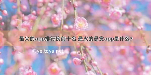 最火的app排行榜前十名 最火的悬赏app是什么？