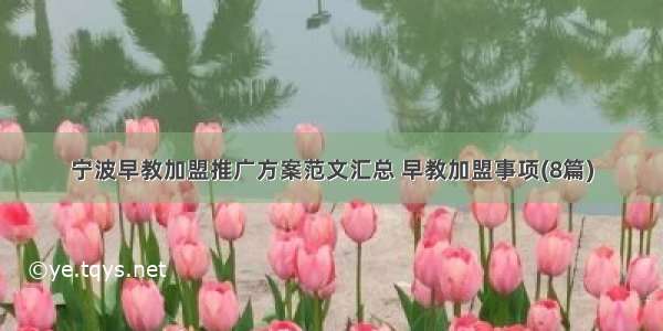 宁波早教加盟推广方案范文汇总 早教加盟事项(8篇)