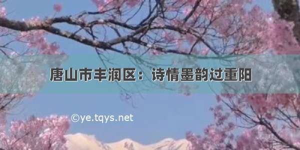 唐山市丰润区：诗情墨韵过重阳