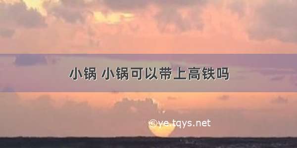 小锅 小锅可以带上高铁吗