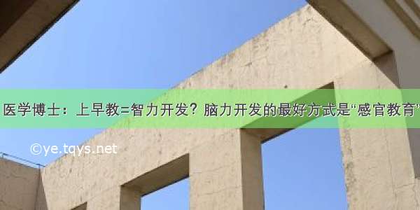 医学博士：上早教=智力开发？脑力开发的最好方式是“感官教育”