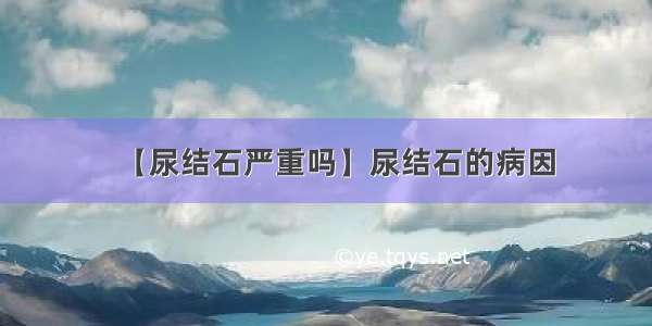 【尿结石严重吗】尿结石的病因