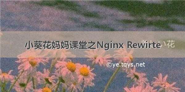 小葵花妈妈课堂之Nginx Rewirte