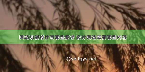 网站功能设计有哪些要求 设计网站需要哪些内容