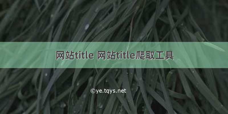 网站title 网站title爬取工具