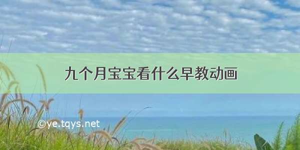 九个月宝宝看什么早教动画