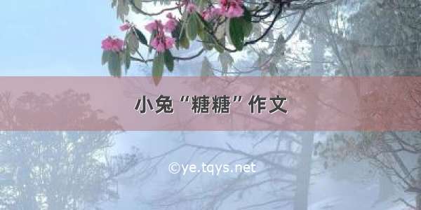 小兔“糖糖”作文