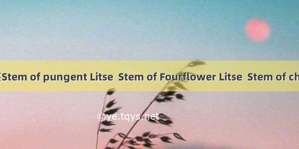 木姜子茎Stem of pungent Litse  Stem of Fourflower Litse  Stem of chun Litse