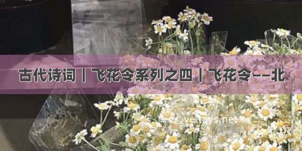 古代诗词｜飞花令系列之四｜飞花令——北