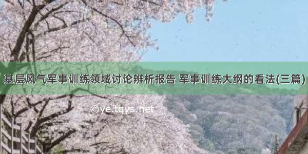 基层风气军事训练领域讨论辨析报告 军事训练大纲的看法(三篇)