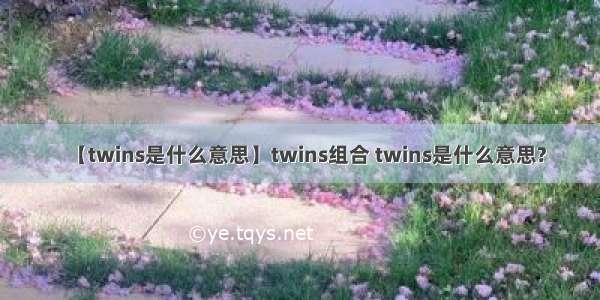 【twins是什么意思】twins组合 twins是什么意思?