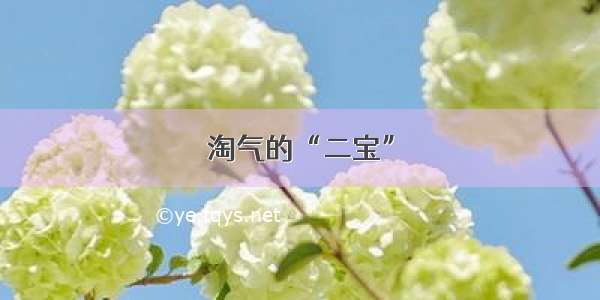 淘气的“二宝”