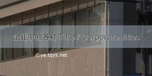 企业中的各种 Title / Corporate titles