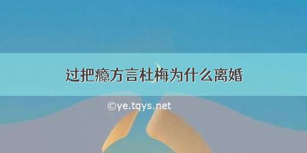 过把瘾方言杜梅为什么离婚