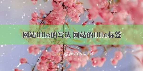 网站title的写法 网站的title标签