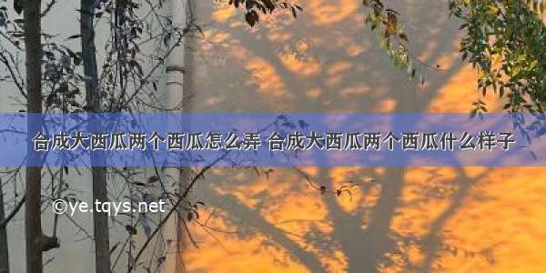 合成大西瓜两个西瓜怎么弄 合成大西瓜两个西瓜什么样子