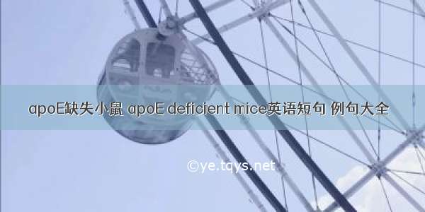 apoE缺失小鼠 apoE deficient mice英语短句 例句大全