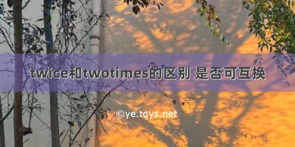 twice和twotimes的区别 是否可互换