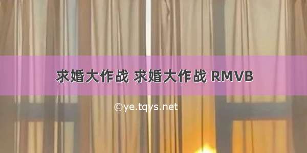 求婚大作战 求婚大作战 RMVB