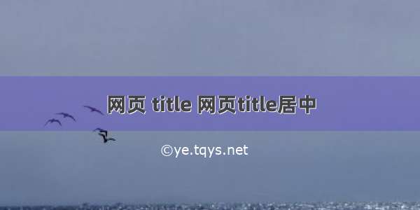 网页 title 网页title居中