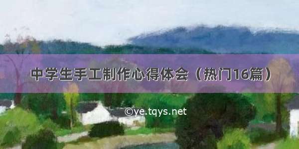 中学生手工制作心得体会（热门16篇）