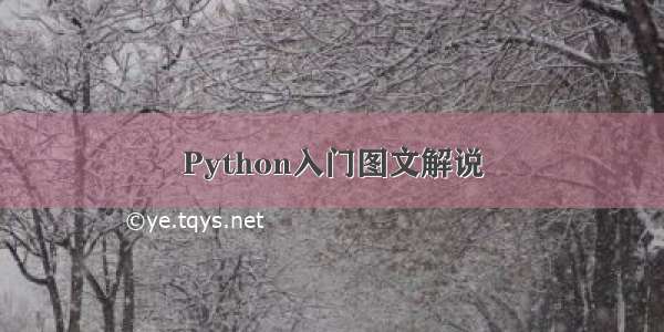 Python入门图文解说