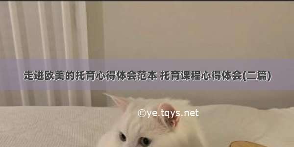 走进欧美的托育心得体会范本 托育课程心得体会(二篇)