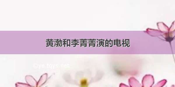 黄渤和李菁菁演的电视