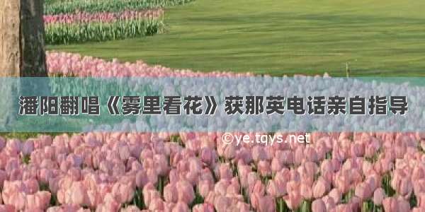 潘阳翻唱《雾里看花》获那英电话亲自指导