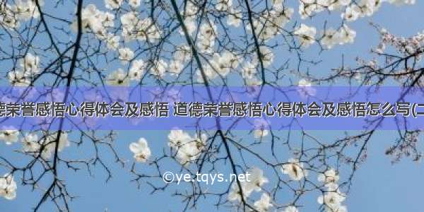 道德荣誉感悟心得体会及感悟 道德荣誉感悟心得体会及感悟怎么写(二篇)