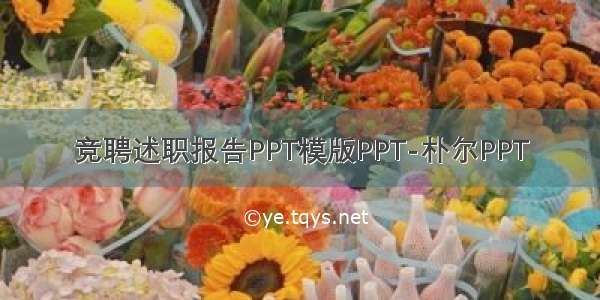 竞聘述职报告PPT模版PPT-朴尔PPT